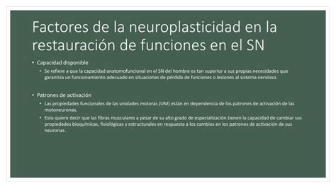 Plasticidad Neuronal PPT