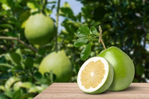 Why Are My Pears Very Hard And Not Ripening Hunker