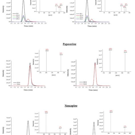 Comparison Between The Extracted Ions Chromatograms And The Intensity