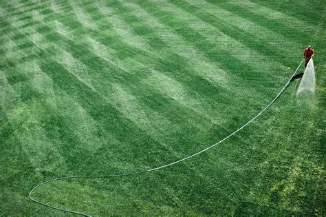 Pros And Cons Of Artificial Grass Gcl Products Blogs