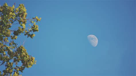 Por qué a veces la Luna se ve de día