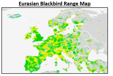 30 Most Common Feeder Birds in Europe (ID Guide!) - Bird Watching HQ