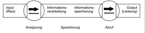 B Lernpsychologie Flashcards Quizlet