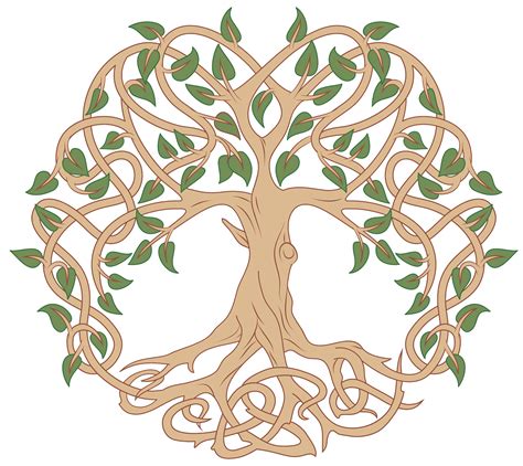 Tree Of Life Svg Tree Of Life Clipart Tree Of Life Svg Bundle Tree