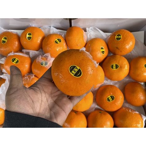 Jual Jeruk Mandarin Wokam Fresh Import Kg Shopee Indonesia