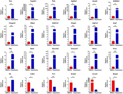 Rt Qpcr Validation The Expression Of Twenty Four Hub Genes Was