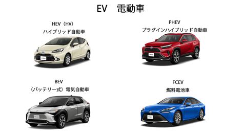 今さら聞けない『hev（hv） Bev Phev Fcev』の違いって何？ トヨタモビリティ東京