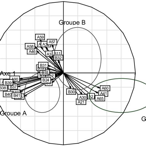 Principal Component Analysis Pca Global Correlation Circle