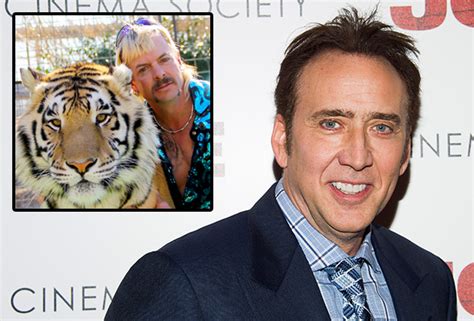 Joe Exotic Series Starring Nicolas Cage Lands At Amazon Studios Tvline