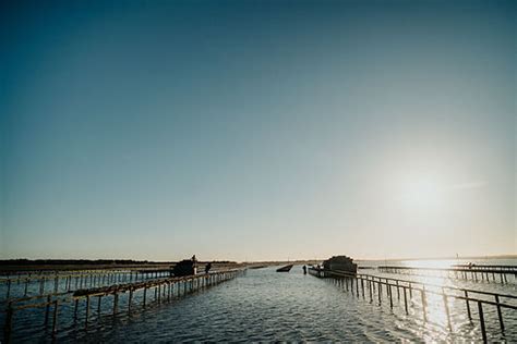 DUCK BAY | Tasmanian Oyster Co.