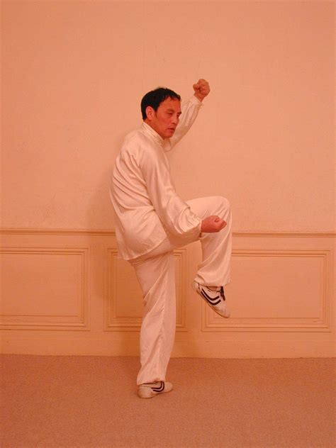 Apprendre Le Tai Ji Quan Tai Chi Chuan Style Chen Avec Un Ma Tre Dans