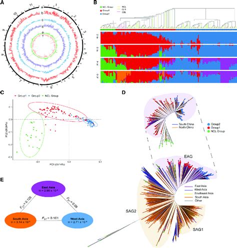 Population Genomic Analysis Of Mung Bean A Atlas Of Variation Of 217