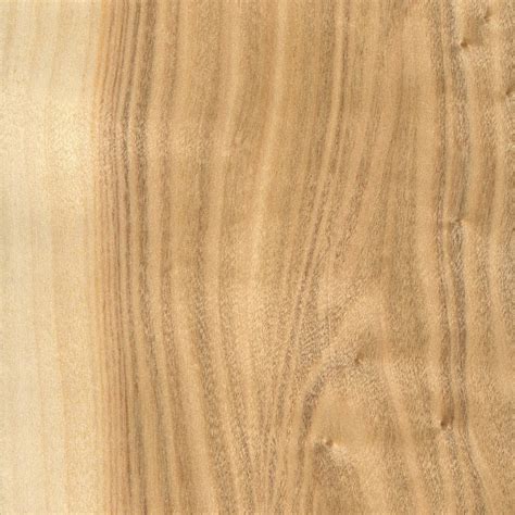 White Poplar | The Wood Database (Hardwood)