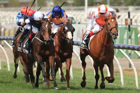 Melbourne Cup Results 2020 | Latest Winner + A History Of Winners