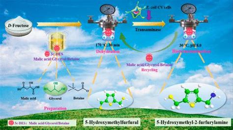 三组分深共晶溶剂 水体系中生物基 5 羟甲基糠醛到 5 羟甲基 2 糠胺的生物催化增值acs Sustainable Chemistry