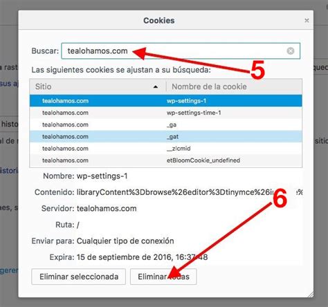 Sabes Borrar Las Cookies De Tu Navegador Para Una Sola Web Tealohamos