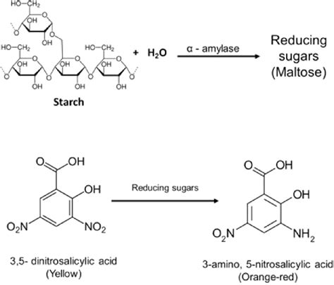 Scielo Brazil Assessment Of Amylase Inhibition Activity By An