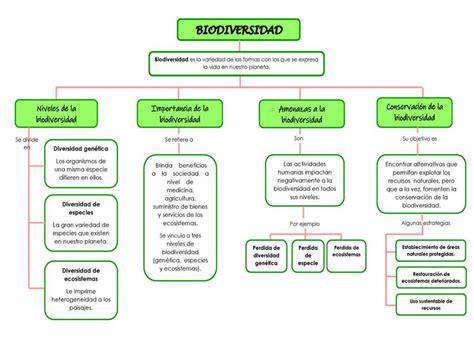 Mapa Mental Sobre La Biodiversidad Porn Sex Picture Vrogue