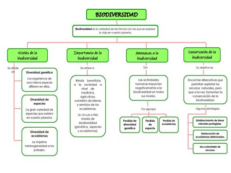 Mapa Mental De La Biodiversidad En Mexico Es Que Hot Sex Picture