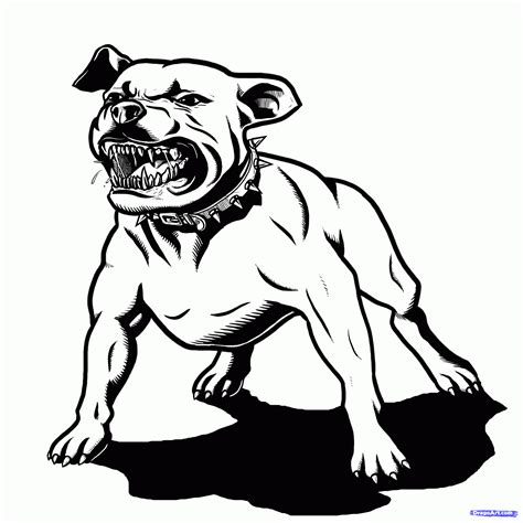 Pit Bull Clip Art - Cliparts.co