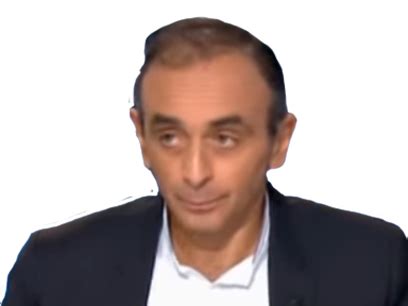 Sticker De Aldeys Sur Zemmour Attali Vingt Sticker Id