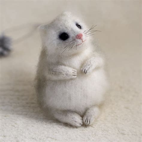 Cute Flying Squirrel