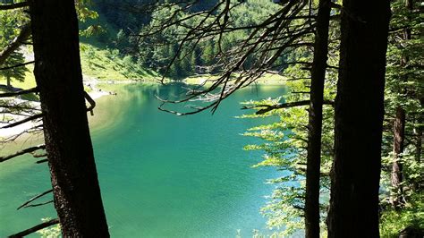 Seealpsee Schweiz Schweizer Alpen Kostenloses Foto Auf Pixabay Pixabay