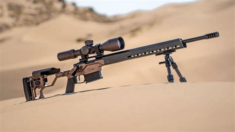 Best Budget Precision Rifles Lindy Petrina