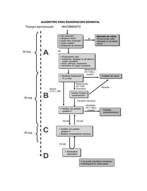 Algoritmo Neonatal Yuriem UDocz