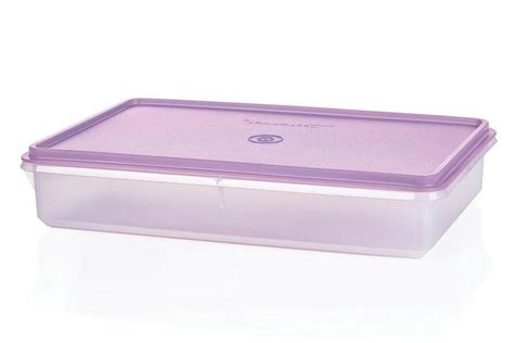 Tupperware Prep Essentials Large Rectangle Snack Stor Keeper Container