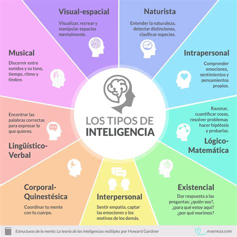 Teoría de las inteligencias múltiples 8 tipos de inteligencia