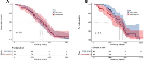 Figure 2 From Comparison Of The Efficacy And Safety Of Transarterial