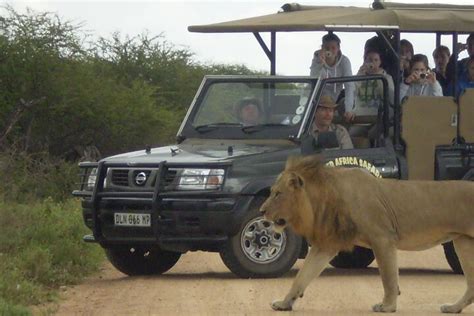 Tripadvisor Safari Au Coucher Du Soleil Du Parc National Kruger