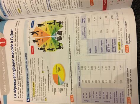 comment calculer la dépense énergétique svt