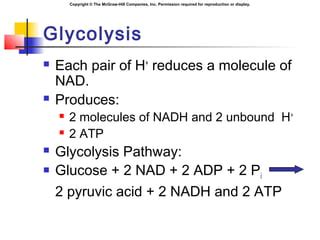 Chapter Cell Respiration And Metabolism Ppt