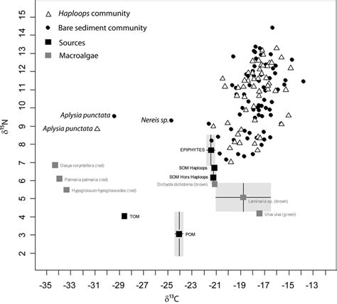 Stable isotope δ 13 C δ 15 N bi plots for all food web compartments