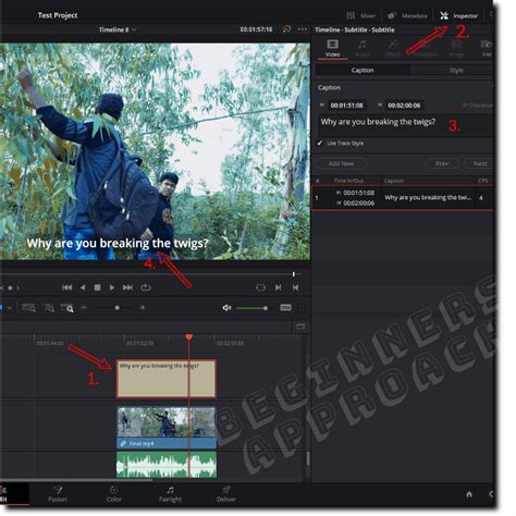 Davinci Resolve Add Import Subtitles Must Know Tips