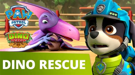 Paw Patrol Dino Rescue Mini Episode Pups Rescue A Dino Egg Paw