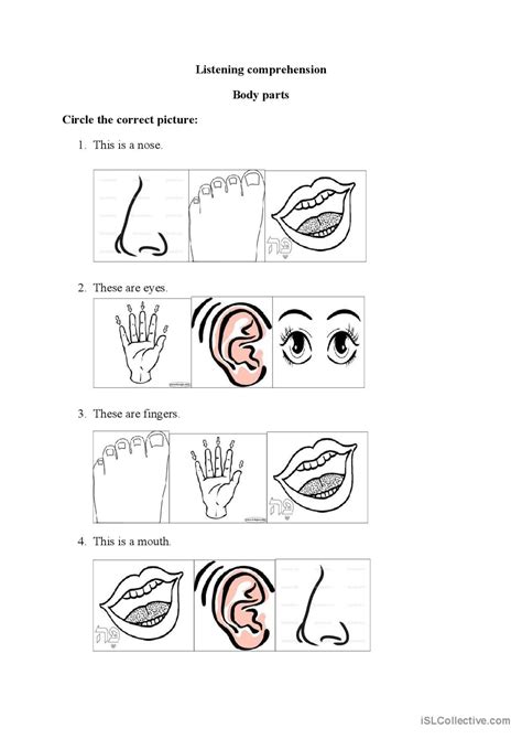 Body parts: English ESL worksheets pdf & doc