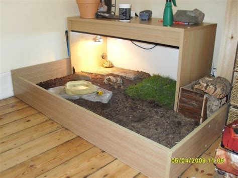 Russian Tortoise Table Idea For My Future Russian Tortoise Tortellini Tortoise House Tortoise