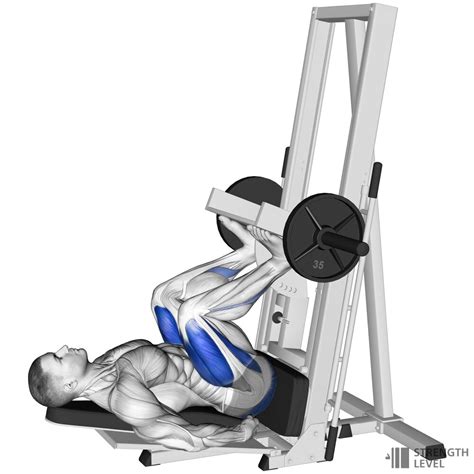 Vertical Leg Press Machine