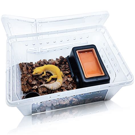 Buy Hamiledyi Reptile Breeding Box Set Portable Gecko Feeding Hatching