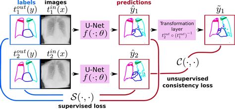 Semi Supervised Medical Image Segmentation Via Learning Consistency Under Transformations Deepai