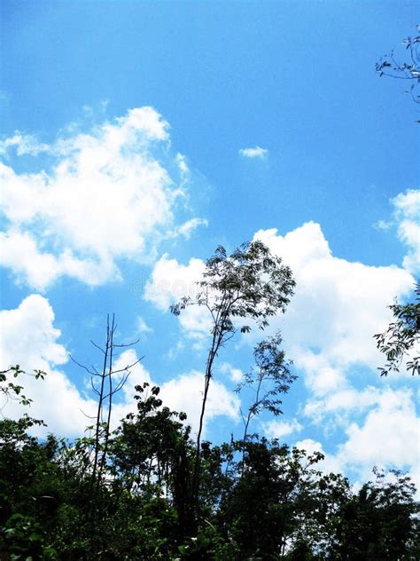 Céu Montanhoso Do Vale E Nuvens Negras E Brancas Imagem de Stock