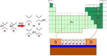 Two Dimensional Janus RuXY X Y Br Cl F I X Y Monolayers