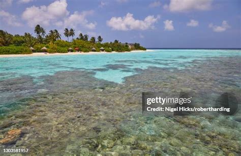 Fringing Reef Photos and Premium High Res Pictures - Getty Images