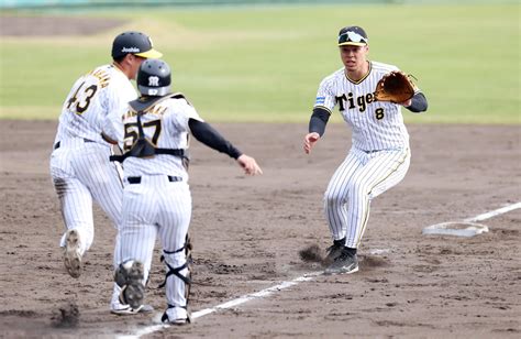 【阪神】岡田彰布監督をナインが囲み“青空反省会”三本間のランダウンプレーなど指摘 プロ野球写真ニュース 日刊スポーツ