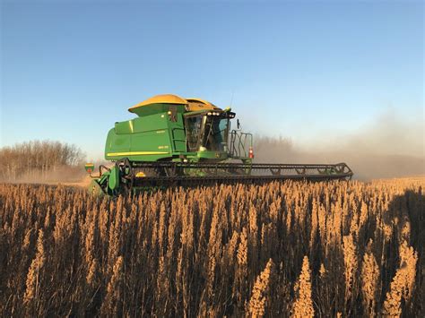 Quinoa a profitable rotation crop - Grainews