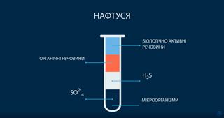 Naftusia water: hystory, scientific research, healing effects ...