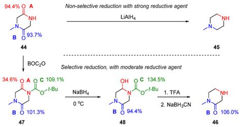 Cyclic Amides Examples